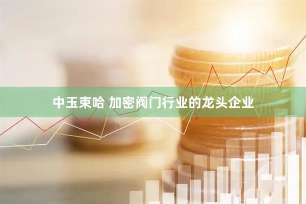 中玉束哈 加密阀门行业的龙头企业