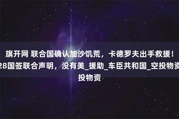 旗开网 联合国确认加沙饥荒，卡德罗夫出手救援！28国签联合声明，没有美_援助_车臣共和国_空投物资