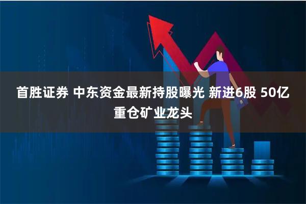 首胜证券 中东资金最新持股曝光 新进6股 50亿重仓矿业龙头