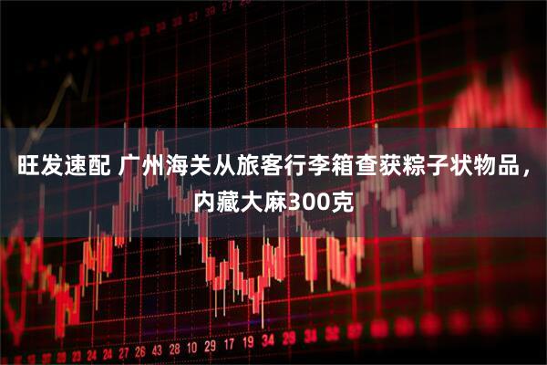 旺发速配 广州海关从旅客行李箱查获粽子状物品，内藏大麻300克
